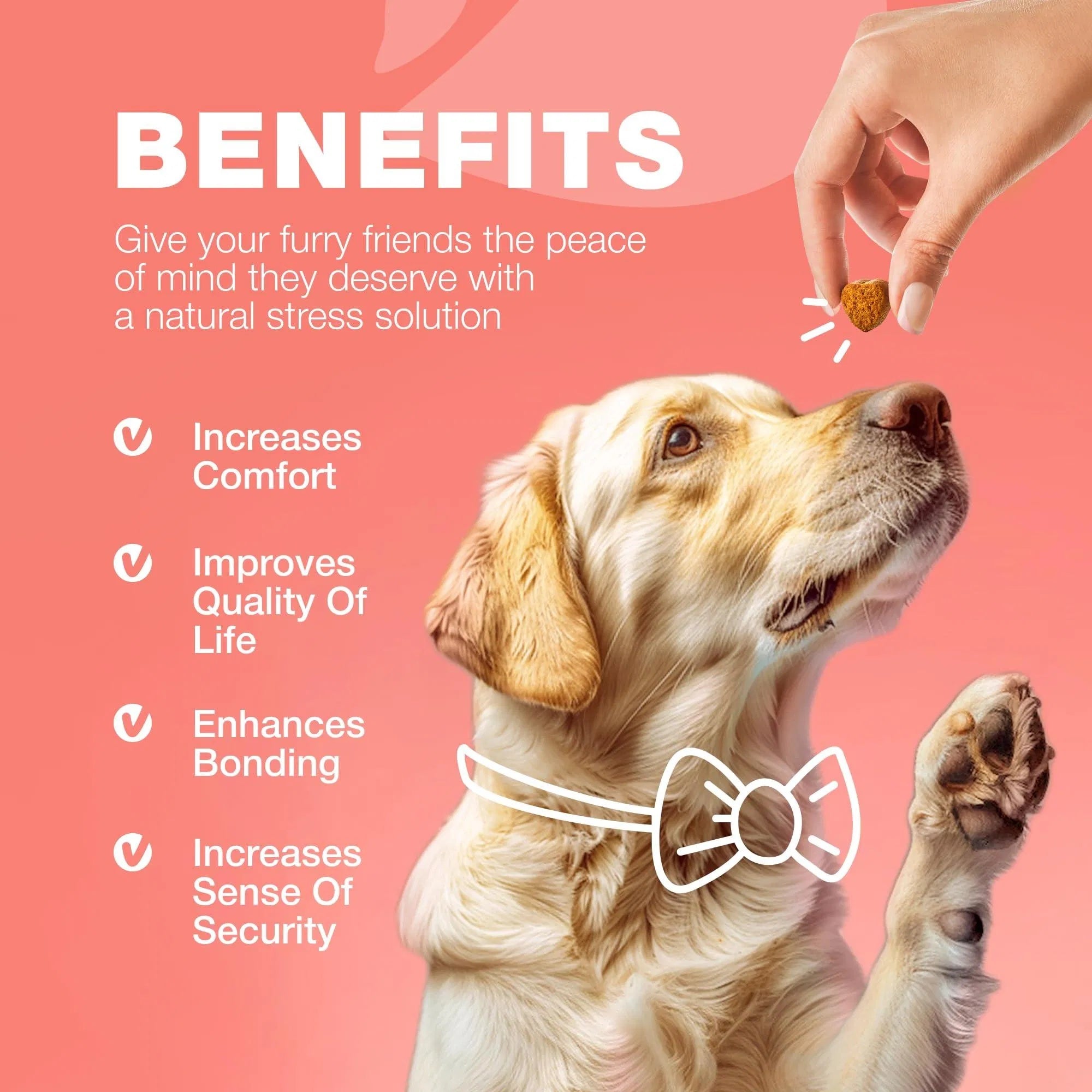 Dog Flea And Tick Treatment Chews FleaTick Prevention For Dogs Chewables Natural Dog Flea & Tick Control Soft Treats Immune Support Supplement